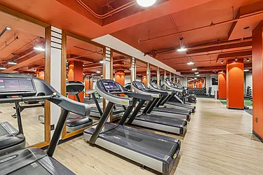 Broad Street & Wall Street  - Photo 14