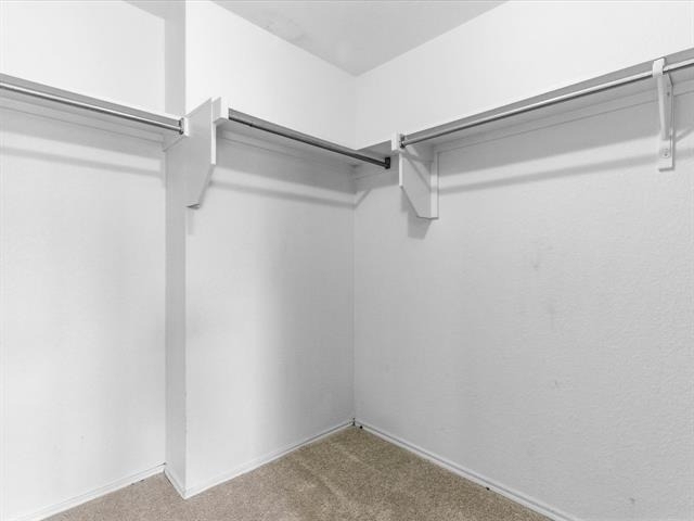 1316 Hunter Lane - Photo 22