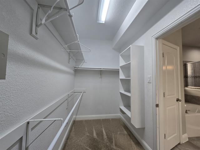 8704 Mccutchins Drive - Photo 13