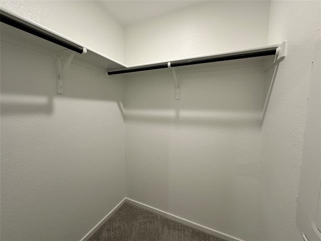 833 Sandhill Crane Lane - Photo 10