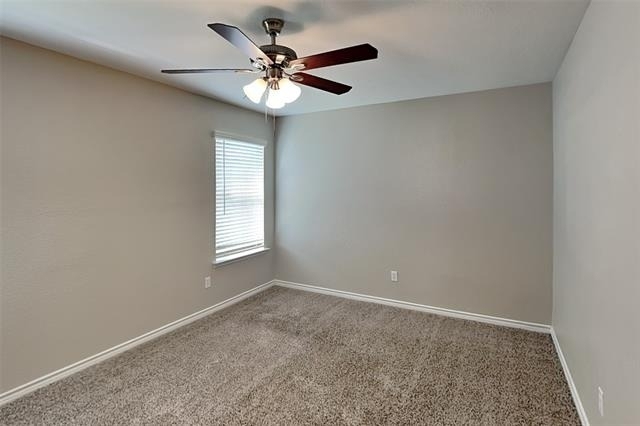 14104 Silkwood Drive - Photo 12