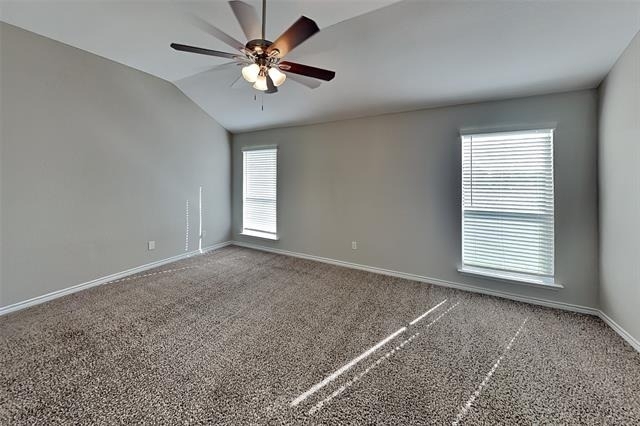 14104 Silkwood Drive - Photo 24