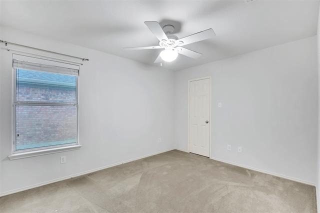 12618 Red Hawk Drive - Photo 10