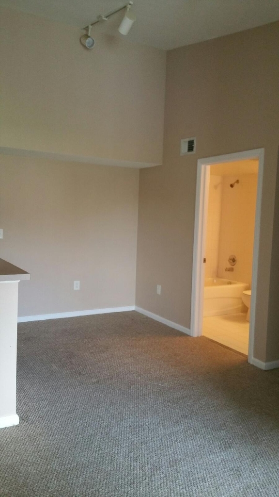 141 Sw Palm Drive - Photo 7