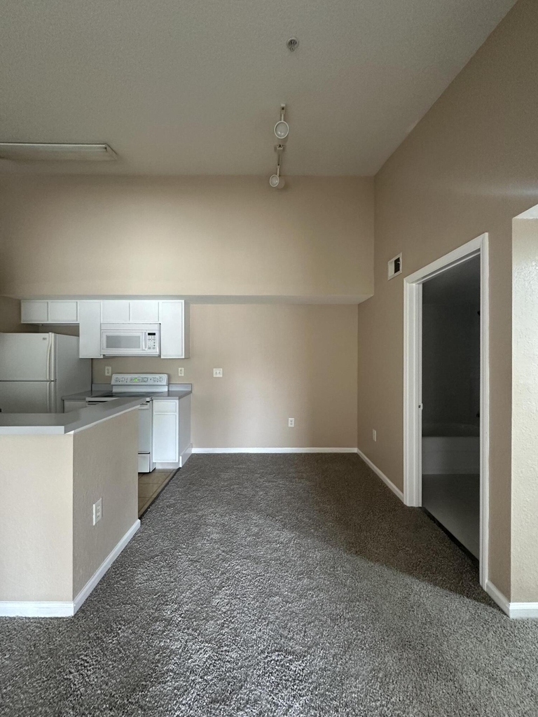 141 Sw Palm Drive - Photo 8