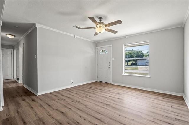 810 S Western Hills Drive - Photo 3