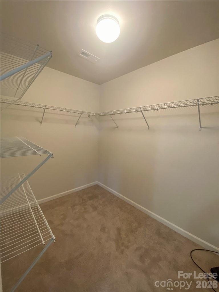 2616 Winter Thistle Way - Photo 16