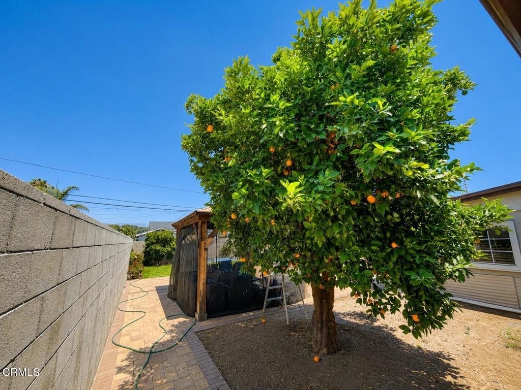 7330 Satsuma Avenue - Photo 32