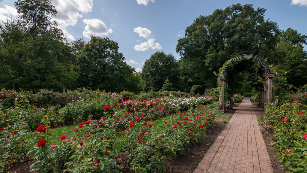 2209 Pershing Drive - Photo 44