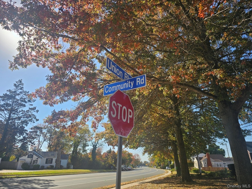 87 Community Road - Photo 1