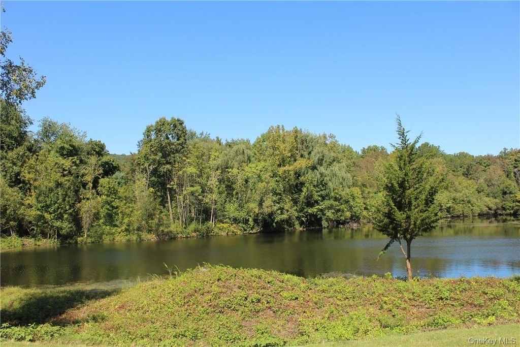 405 Trump Park - Photo 30