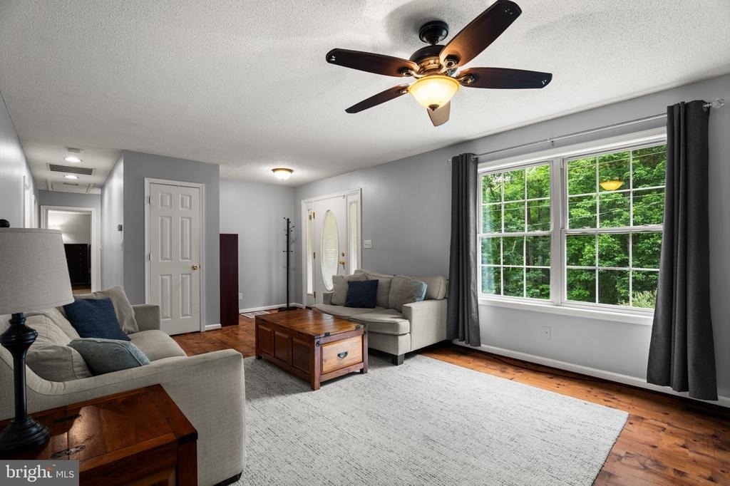 344 White Mule Lane - Photo 3