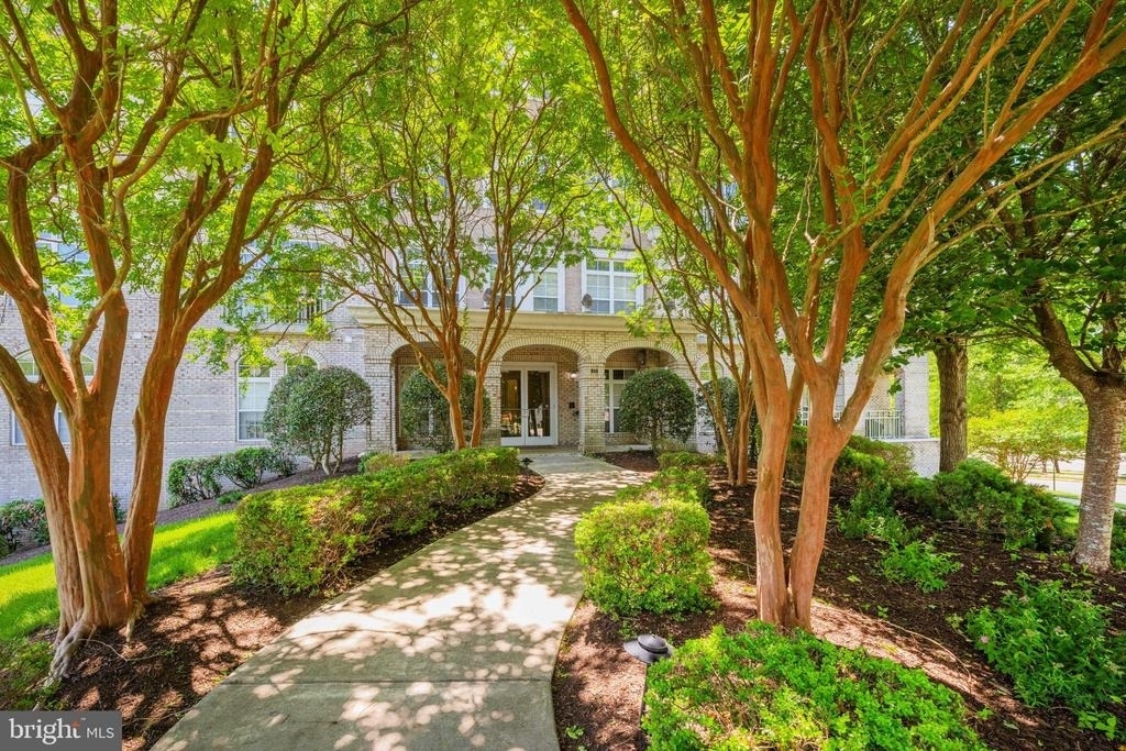810 Belmont Bay Drive - Photo 2