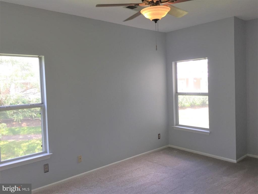 14322 Climbing Rose - Photo 10