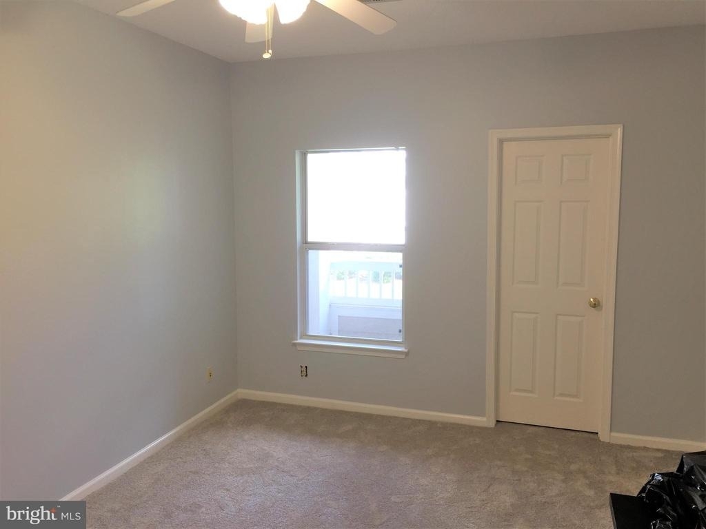 14322 Climbing Rose - Photo 18