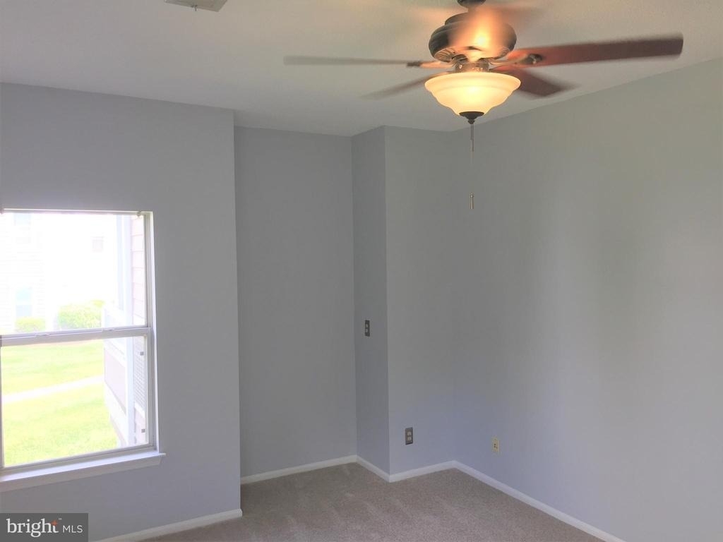 14322 Climbing Rose - Photo 11