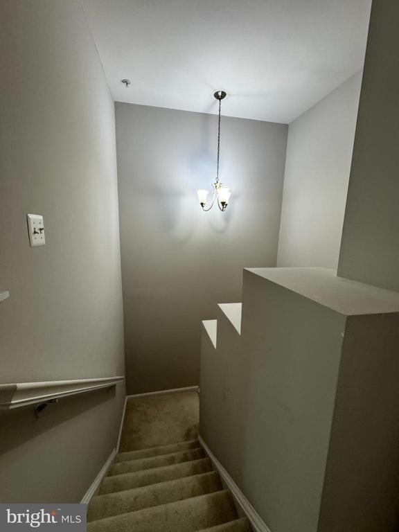 5136 Brittney Elyse Circle - Photo 29