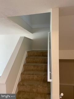 1823 N Shore Court - Photo 17