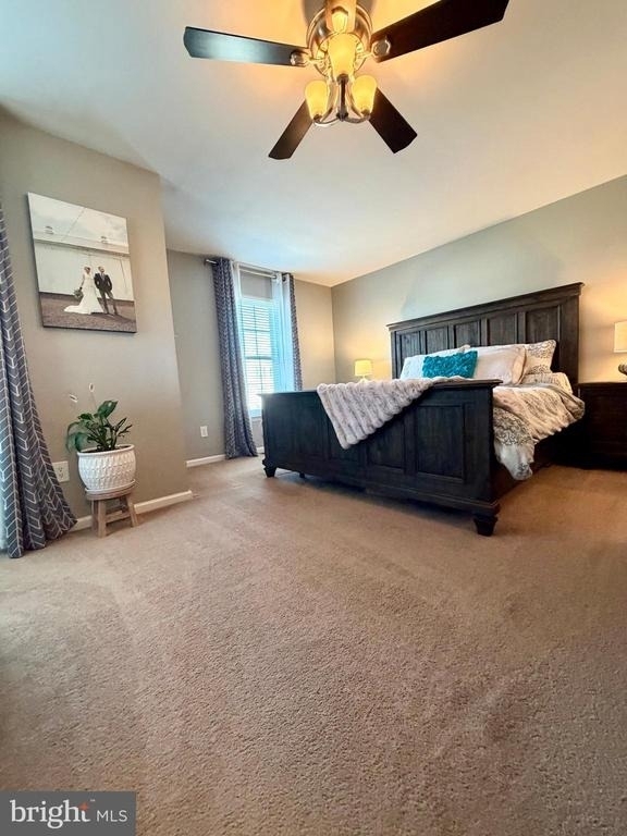 176 Strawberry Lane - Photo 19