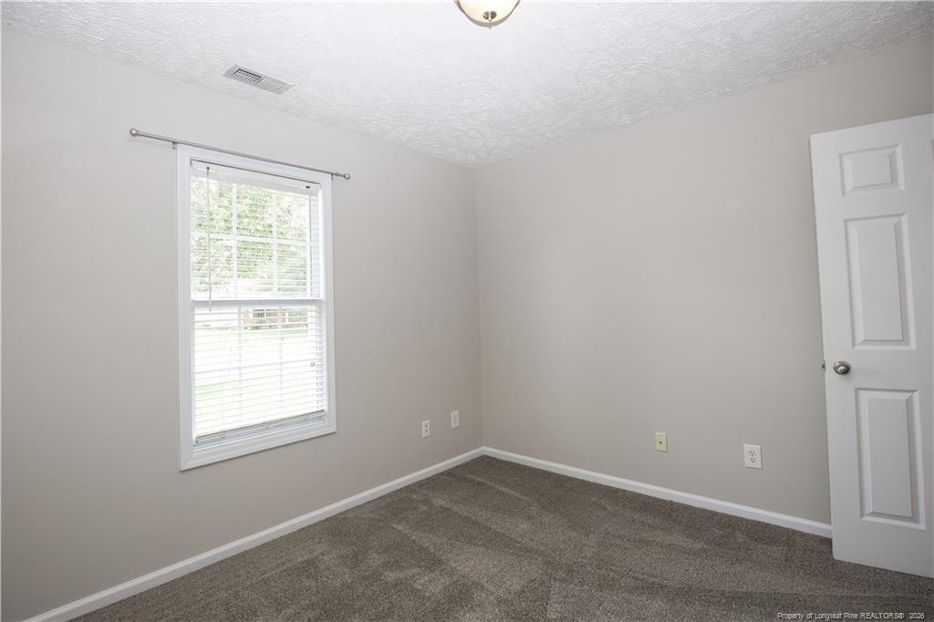 196 Lochwood Drive - Photo 35