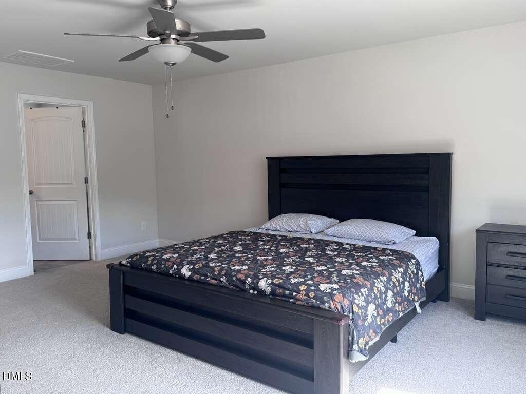 189 Karlov Road - Photo 21