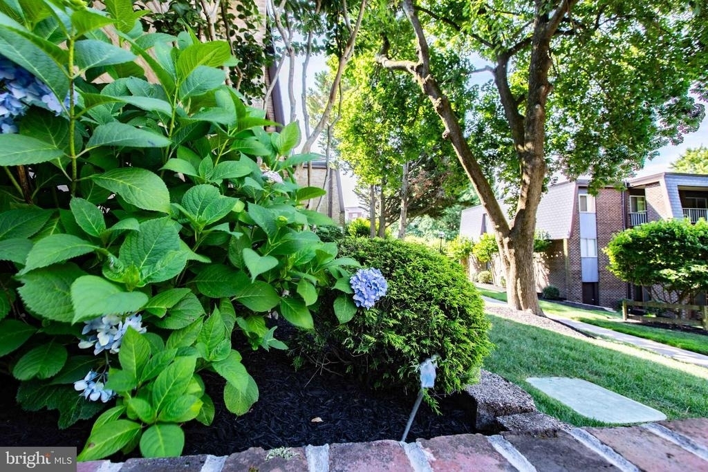 1 Stonehenge Circle - Photo 49
