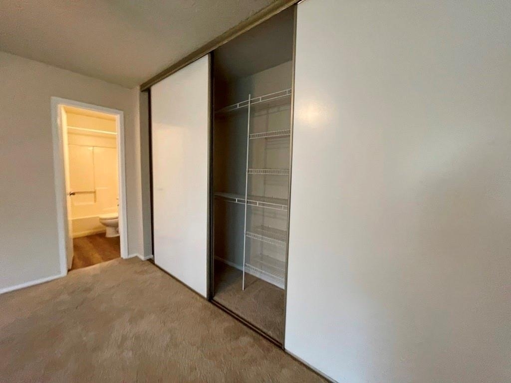 16719 Whitebrush Loop - Photo 29