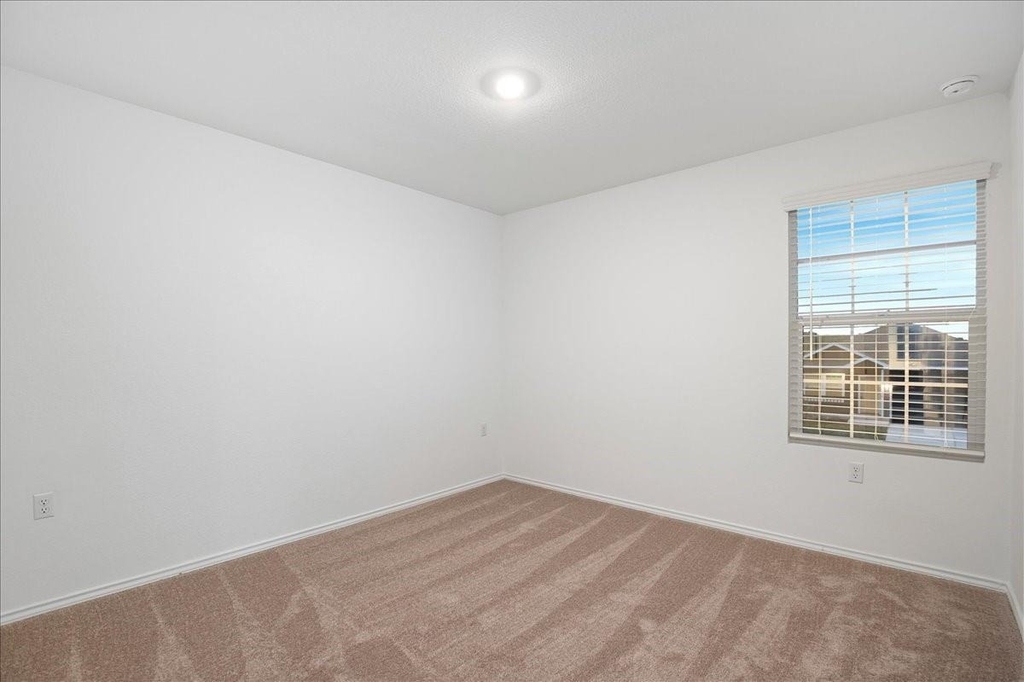 2809 Schwartz Ln - Photo 10