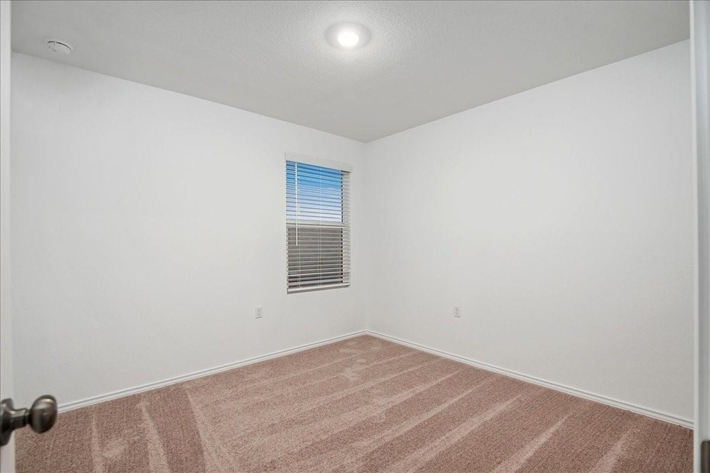2809 Schwartz Ln - Photo 8