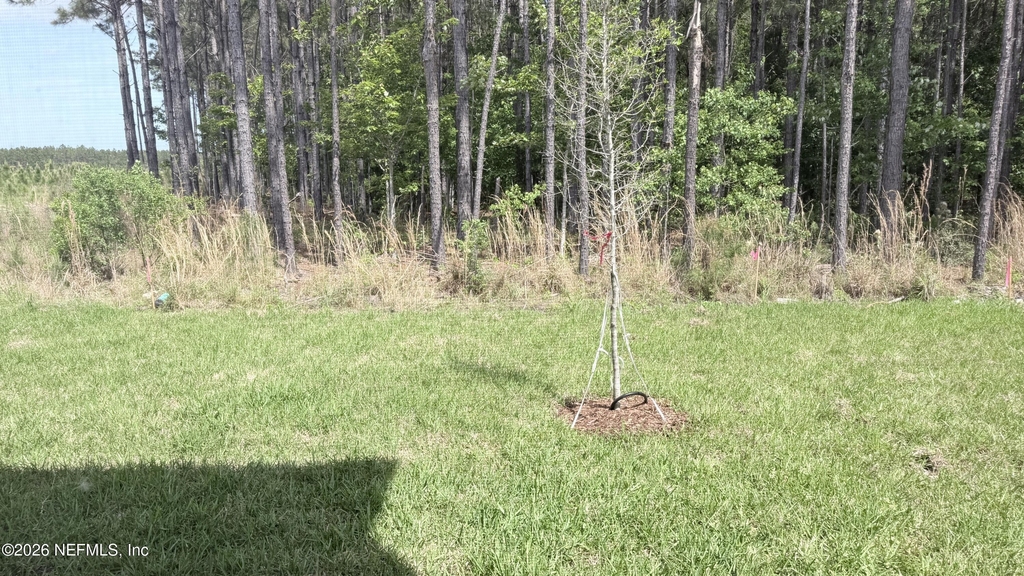 146 Hubbard Bend - Photo 19