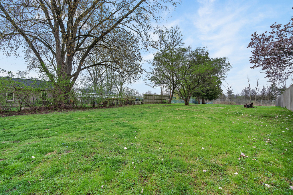 320 Chalmers Street - Photo 14