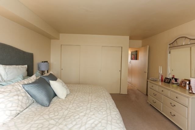 3950 N Lake Shore Drive - Photo 10