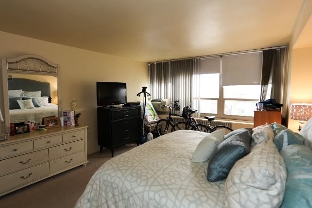 3950 N Lake Shore Drive - Photo 12