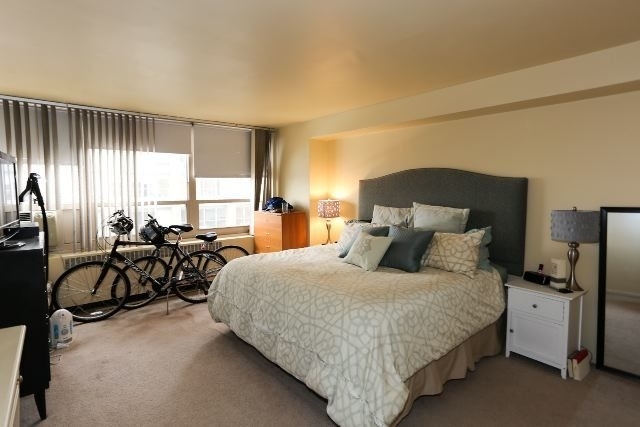 3950 N Lake Shore Drive - Photo 11