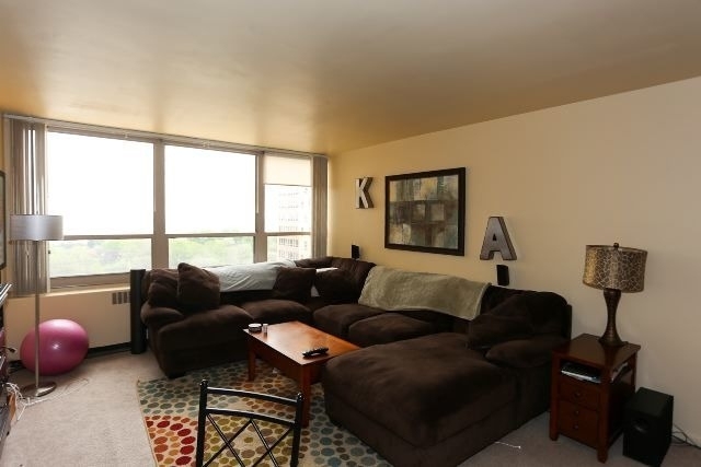 3950 N Lake Shore Drive - Photo 7