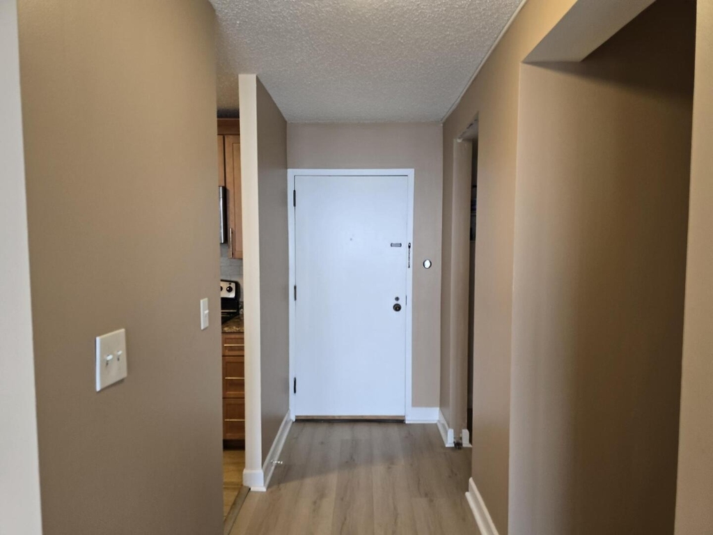 10 E Ontario Street - Photo 3