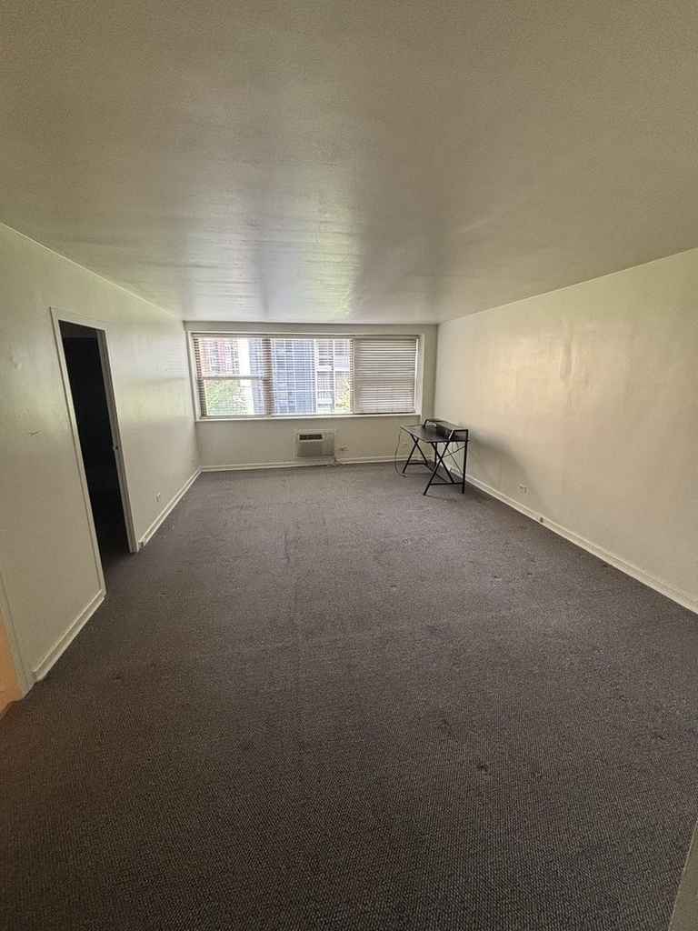253 E Delaware Place - Photo 3