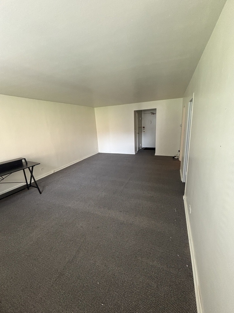 253 E Delaware Place - Photo 2