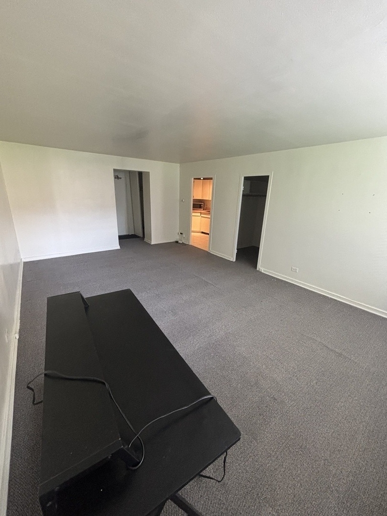 253 E Delaware Place - Photo 7