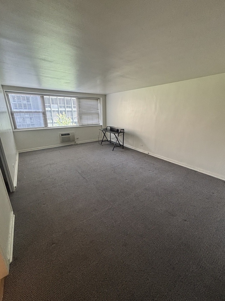 253 E Delaware Place - Photo 4