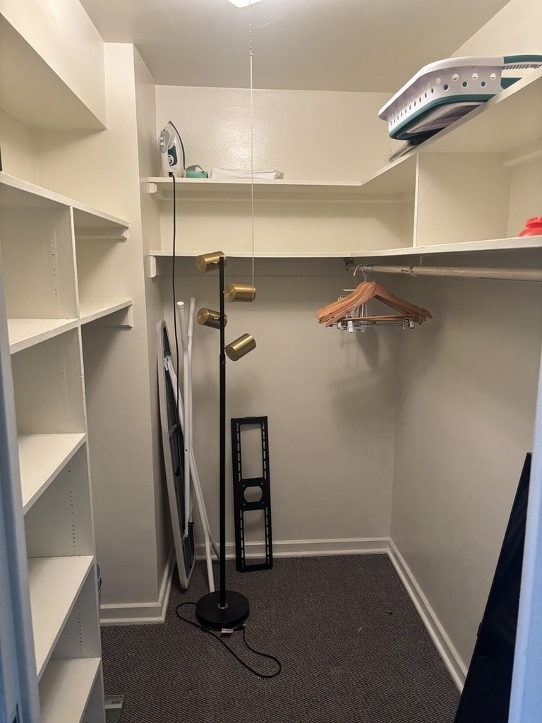253 E Delaware Place - Photo 8