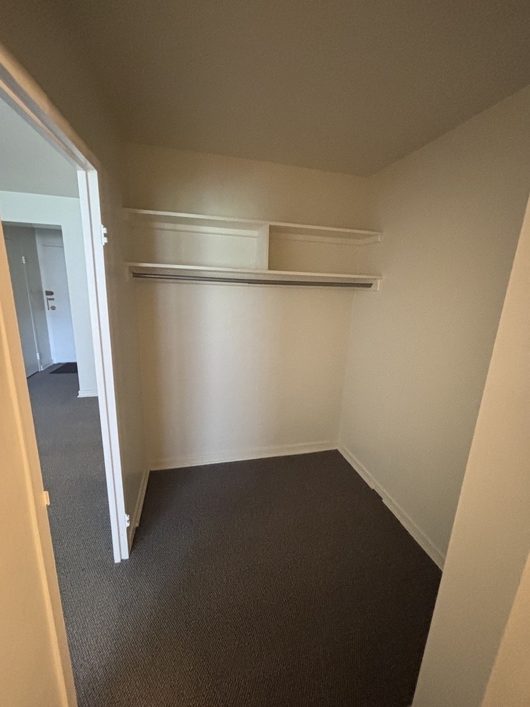 253 E Delaware Place - Photo 6
