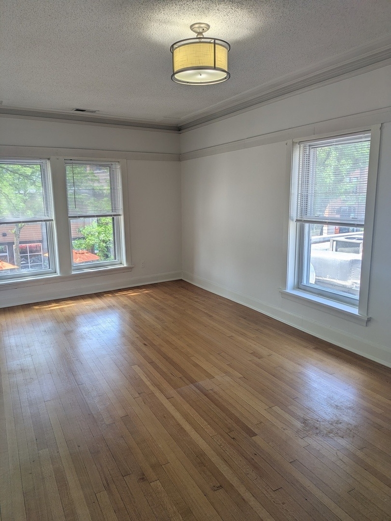 103 E 1st Street - Photo 2