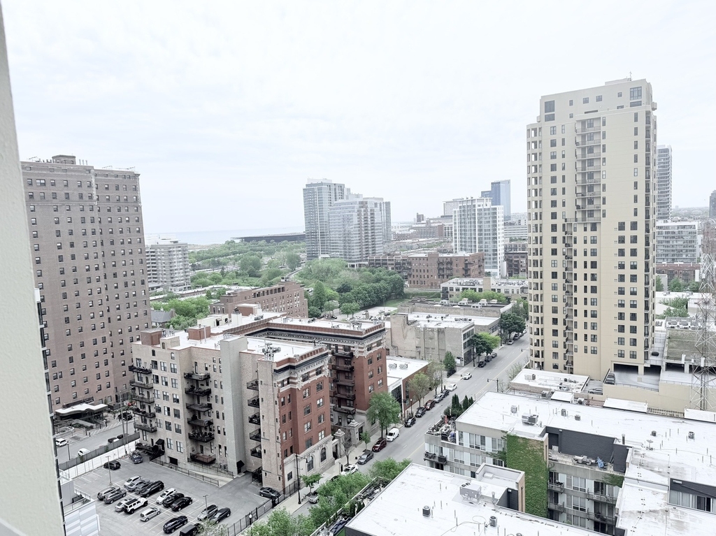 1400 S Michigan Avenue - Photo 2