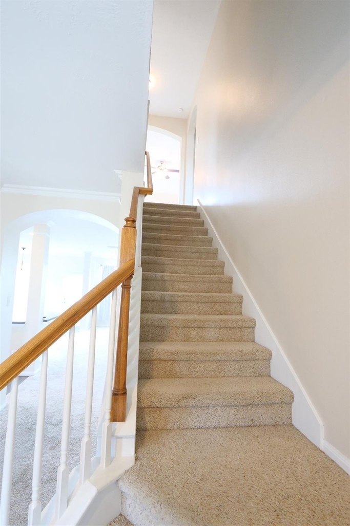 3827 Pine Forest Green Boulevard - Photo 14