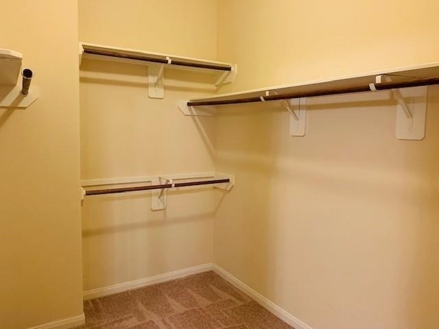 2319 Bermuda Palms Drive - Photo 10