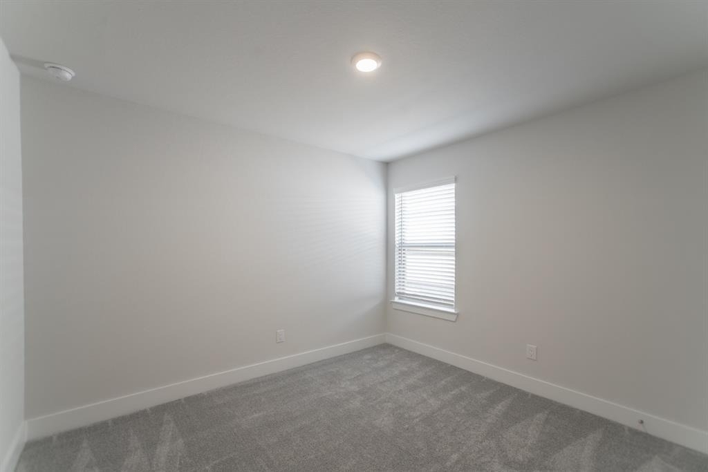 10626 Whitejacket Drive - Photo 16