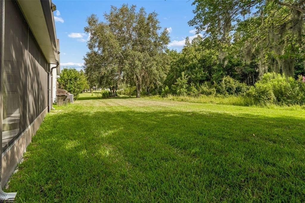 19236 Climbing Aster Drive - Photo 56