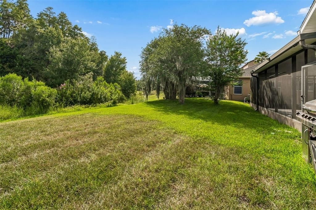 19236 Climbing Aster Drive - Photo 53