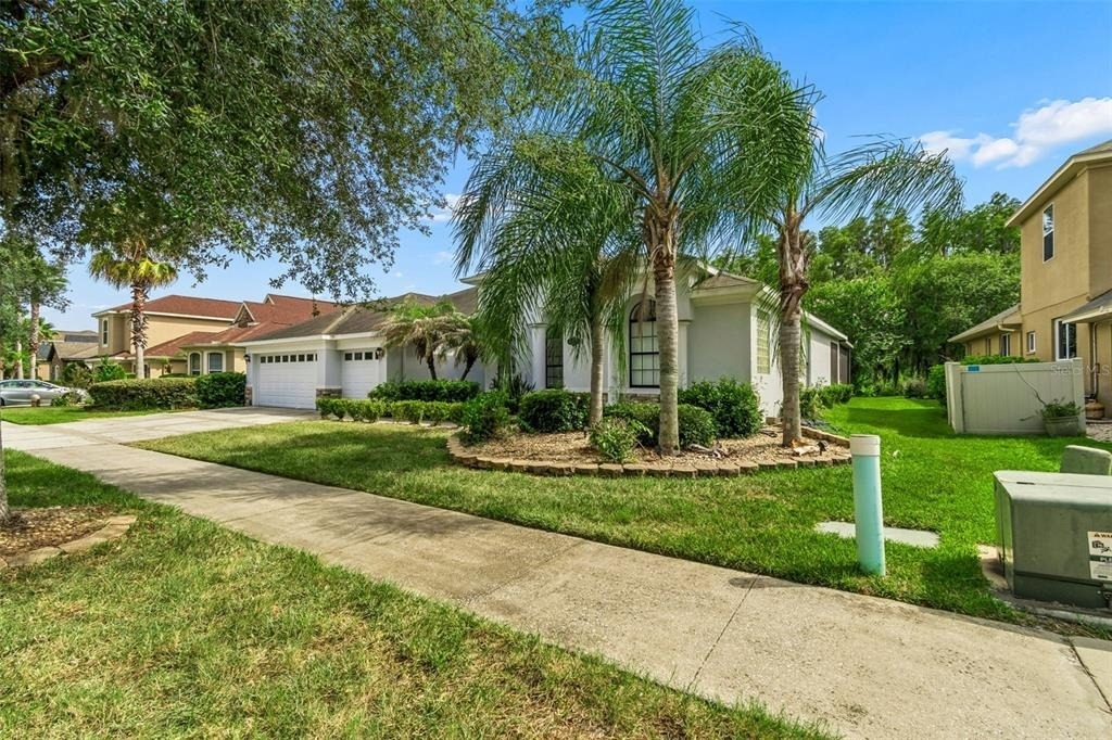 19236 Climbing Aster Drive - Photo 1